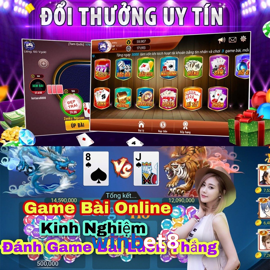 winbet8