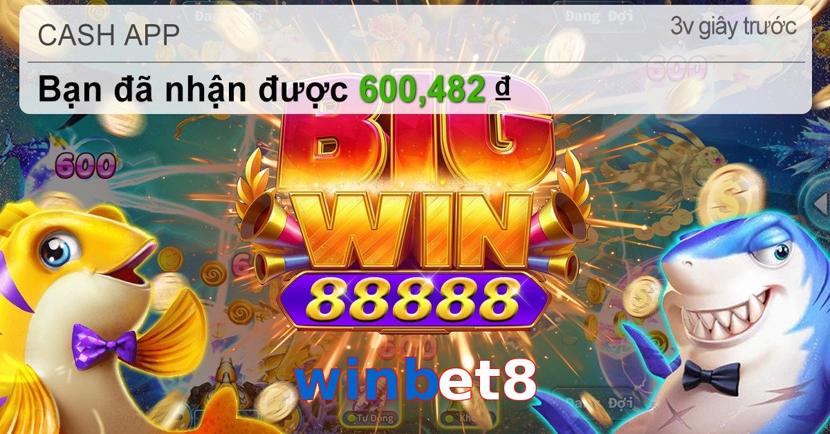 winbet8