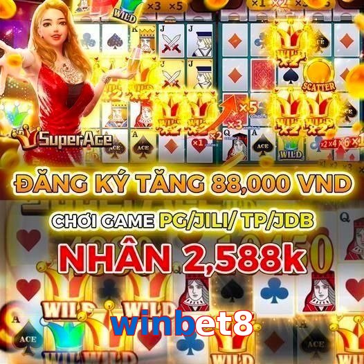 winbet8