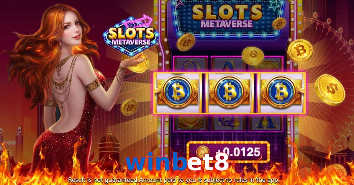winbet8