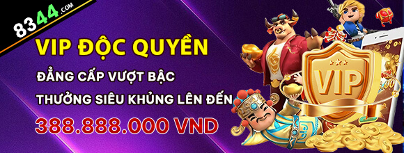 winbet8
