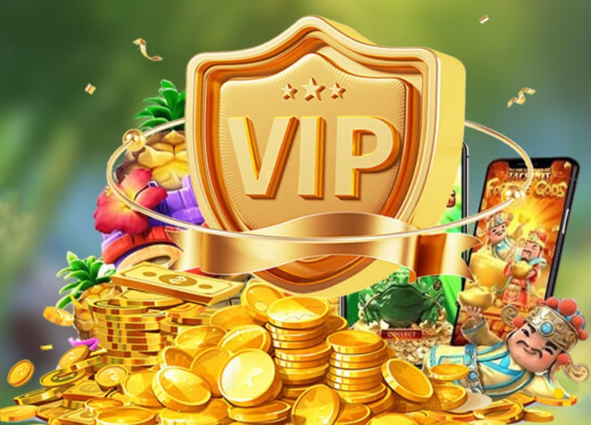 winbet8