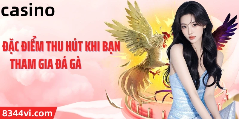 winbet8