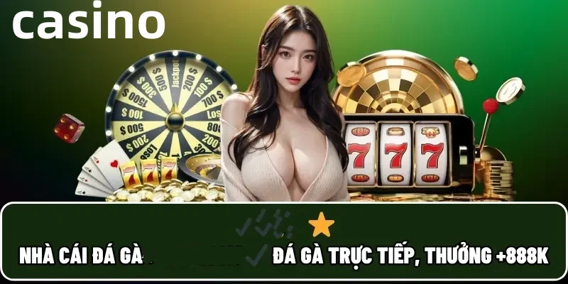 winbet8