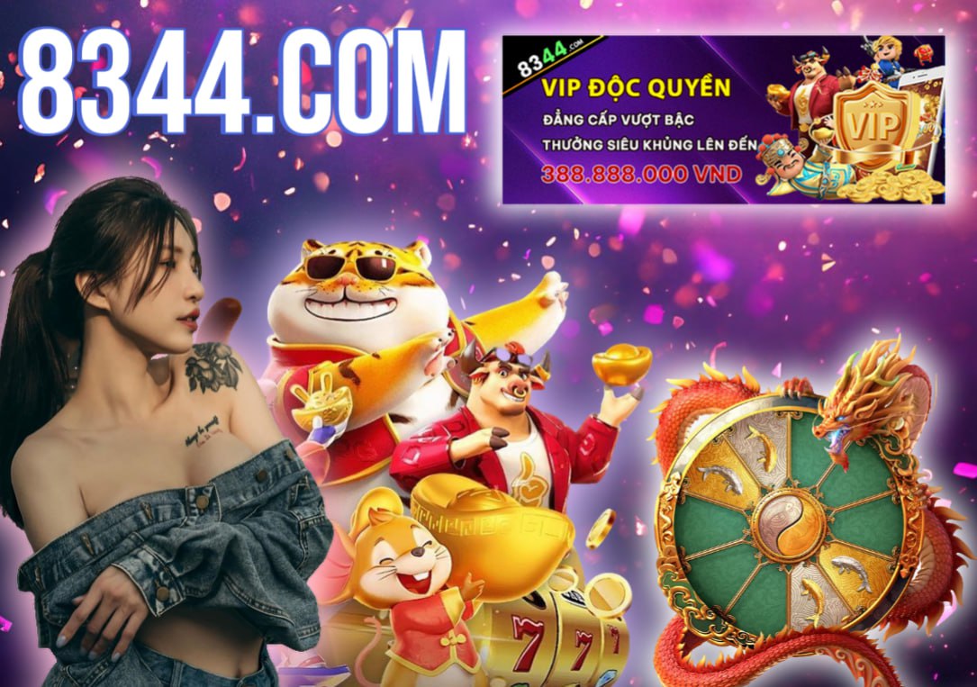 winbet8