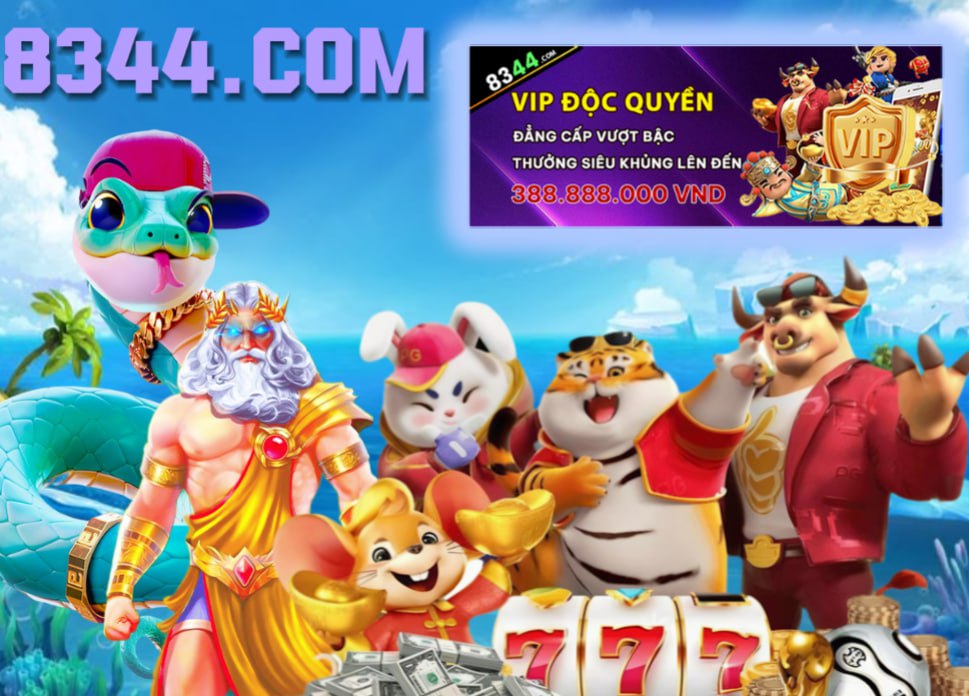 winbet8