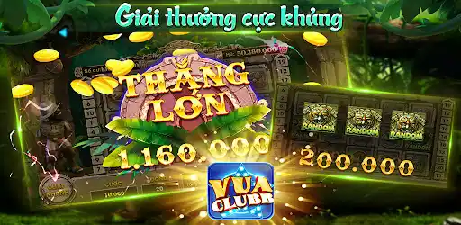 winbet8