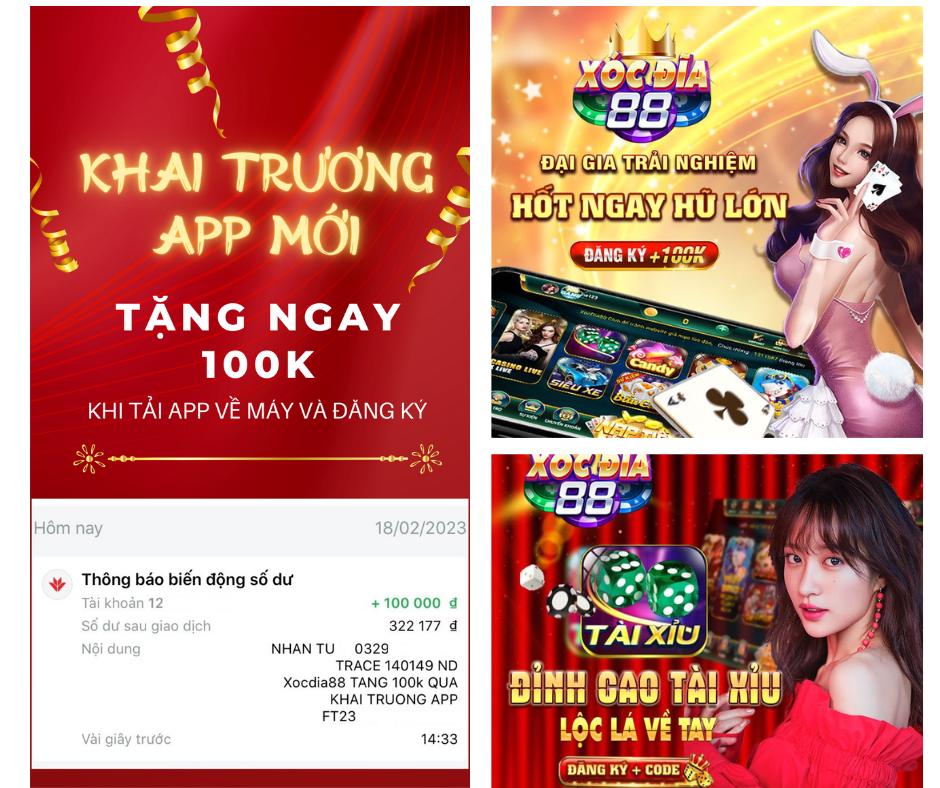 winbet8
